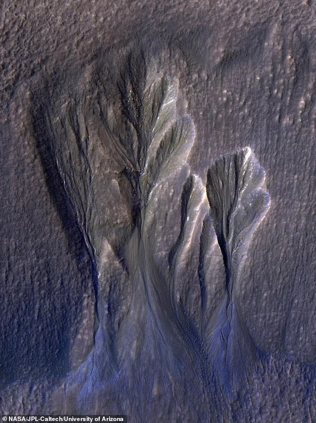 A 2016 image from NASA's Mars Reconnaissance Orbiter documenting what scientists believe is dusty ice along the edges of a series of trenches on Mars. Planetary scientist Dr. Aditya Khuller and his co-authors believe this ice (pictured) should be a leading candidate in the search for extraterrestrial life