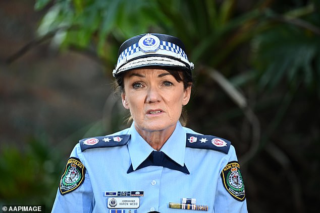 NSW Police Commissioner Karen Webb is pictured at a press conference in September