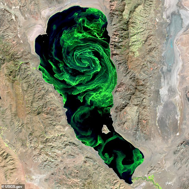 Pyramid Lake, in northeastern Nevada, developed an intense eerie green hue that was visible from space