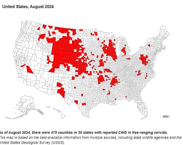 The CDC map above shows the counties where CWD has been detected as of August 2024, according to the most recent data available. This includes 475 counties in 35 states