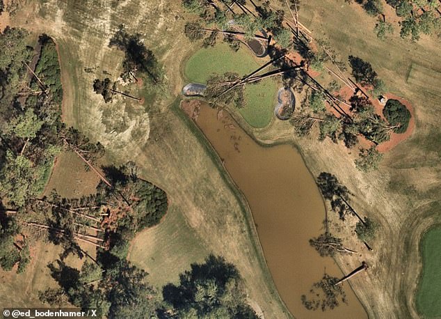 Augusta's par-3 16th is in ruins, with two trees scattered across the rolling green