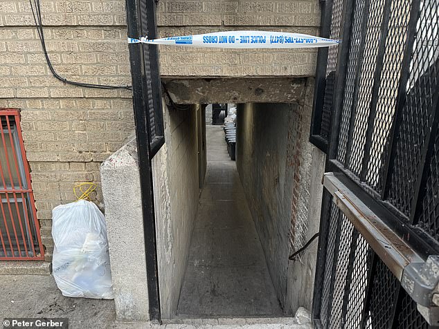 A newborn baby girl with her umbilical cord still attached was found dead in the courtyard of a Bronx apartment building