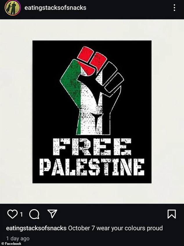 A post expressing support for a 'free Palestine' on Mr Stone's Instagram account