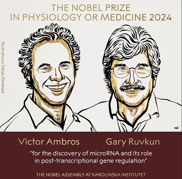 Victor Ambros and Gary Ruvkun were credited with finding microRNA, tiny genetic codes that control a host of bodily functions