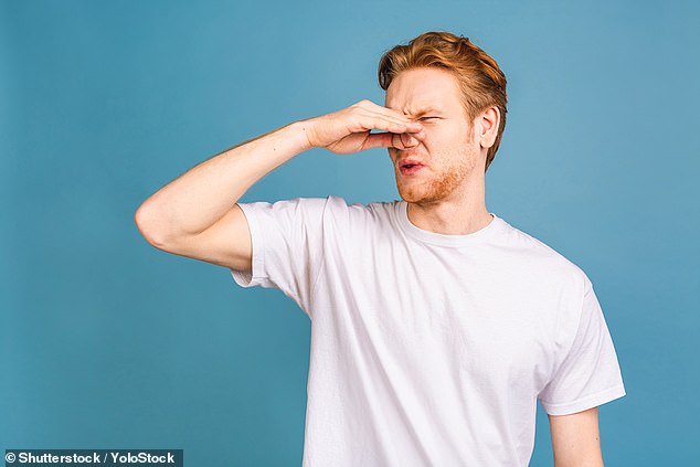 Scientists have discovered that we can actually detect fine chemical changes within the duration of a single sniff (stock image)