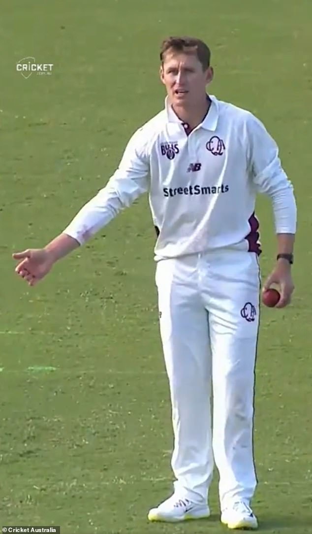 Marnus Labsuchagne has divided fans over a bizarre pitch setup during Queensland's opening match against the Sheffield Shield