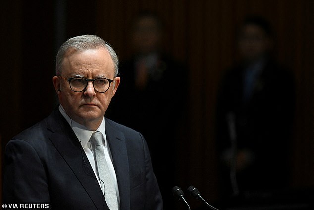 Labor is beginning to realize that MPs have ceded too much power to Anthony Albanese (above)