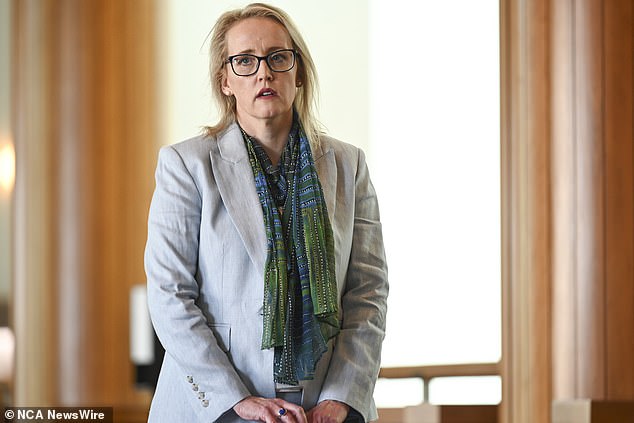 Ms Tarnawsky gave a media conference at Parliament House in Canberra this week. She said she felt 'bullied out of a job I loved, that I was doing well'