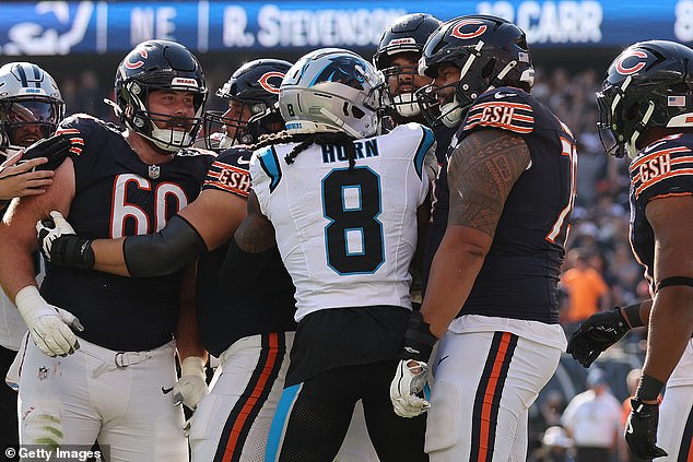 Towards the end of Panthers-Bears, a fight broke out involving several members of each team