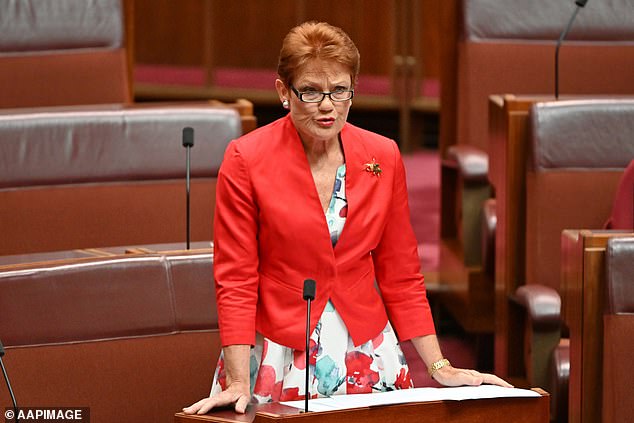 Pauline Hanson once took aim at Robert Irwin in the latest episode of her controversial Please Explain series, titled 'The State of Melbourne'