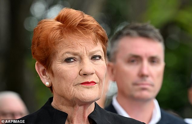 One Nation leader Pauline Hanson (pictured) made a racist comment when she told a Muslim senator to pack her bags and go back to Pakistan, a Federal Court judge has found.