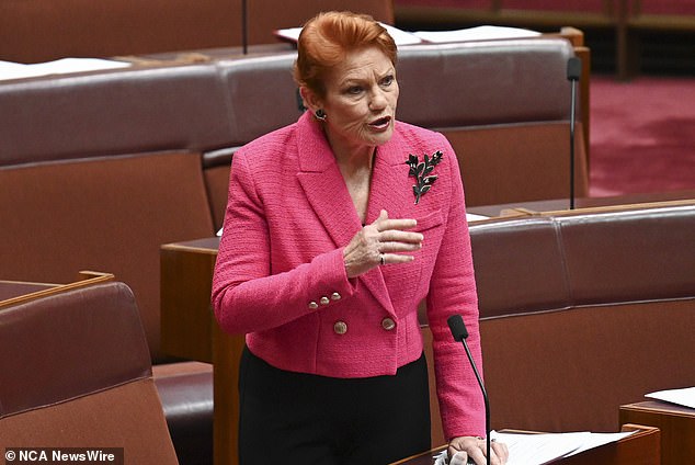 One Nation Senator Pauline Hanson said Australians were not consulted on the UN pact the government signed in September