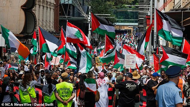 Protesters shouted at Ms Wong and interrupted the speech several times. Pro-Palestinian protesters are seen in Sydney