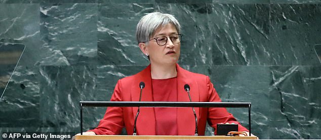 Pro-Palestinian protesters repeatedly interrupted a university lecture by Foreign Minister Penny Wong (pictured) and forced her to leave the stage