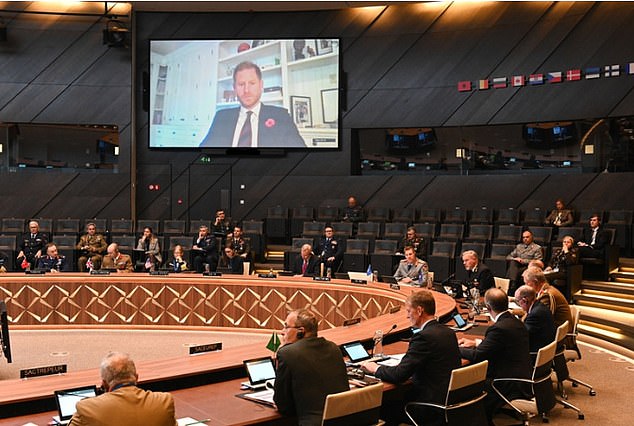 Prince Harry has addressed the NATO military committee via video link