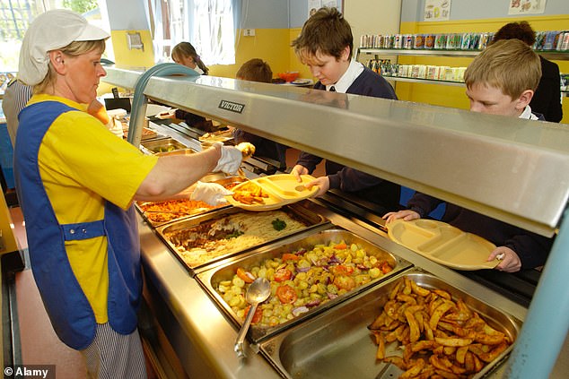 Speaking at the Cheltenham Literature Festival, the King's College London academic urged ministers to instead remove all ultra-processed foods (UPFs) from school menus.