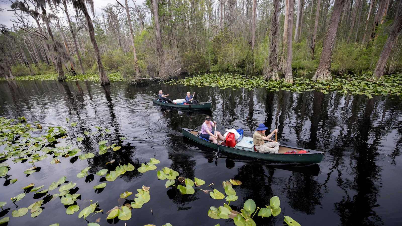 Proposed expansion of Okefenokee National Wildlife Refuge could lead to buyout of mining project