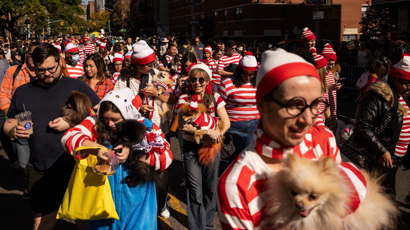 Pups on parade: Dogs dressed to the nines for annual New York City Halloween event