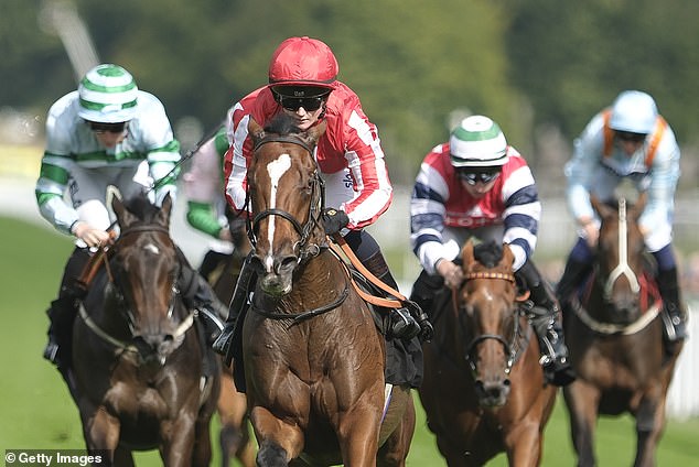 Mail Sport's racing expert Robin Goodfellow gives his tips for Friday's meetings