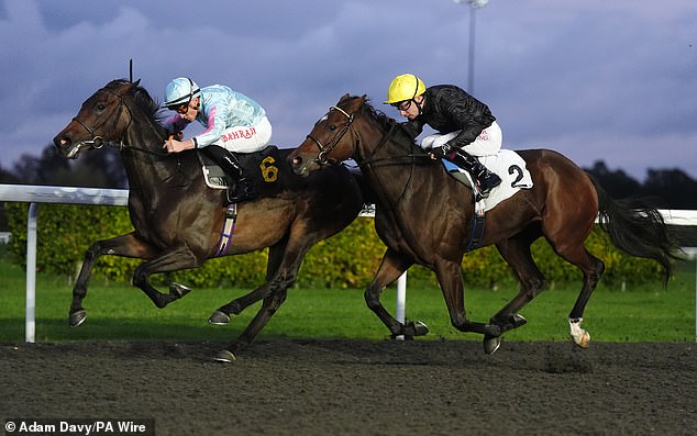 Mail Sport's racing expert Robin Goodfellow gives his tips for Saturday's meetings