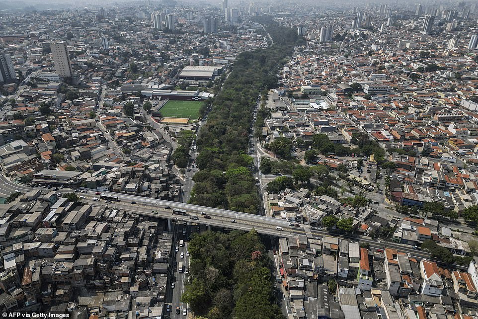 This aerial photo shows the handiwork of retired Brazilian businessman Helio da Silva, who over a period of twenty years planted as many as 40,000 trees on a piece of wasteland in Sao Paulo, transforming it into a green park