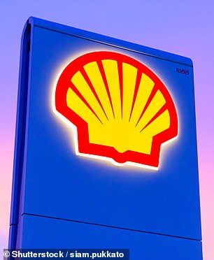 On the way?: Shell is confronted with questions about its future