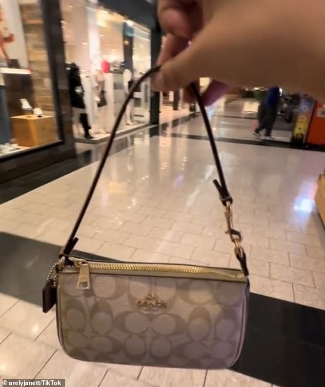 In the clip, the creator, who goes by Arely, held out her tiny messenger bag - which measures just 7.5 inches long - and explained the warning sounds that followed her as she entered and exited stores.