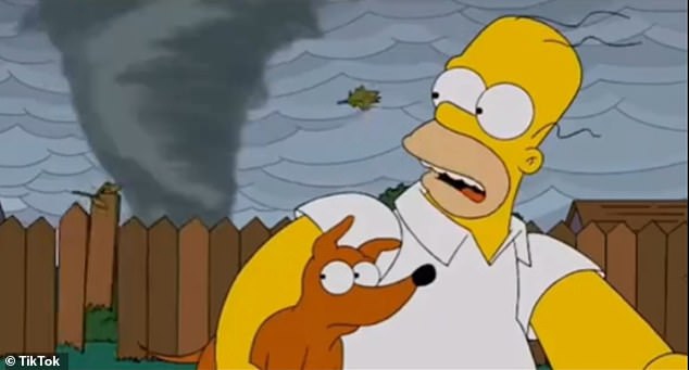 Simpsons fans say the show foreshadows the devastation caused by the hurricanes hitting Florida