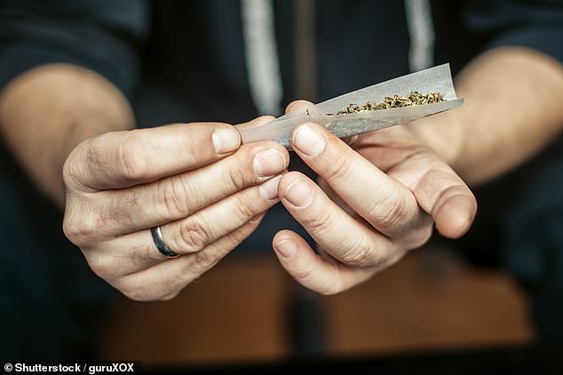 Teens who smoke cannabis may damage the lining of their brains (stock image)