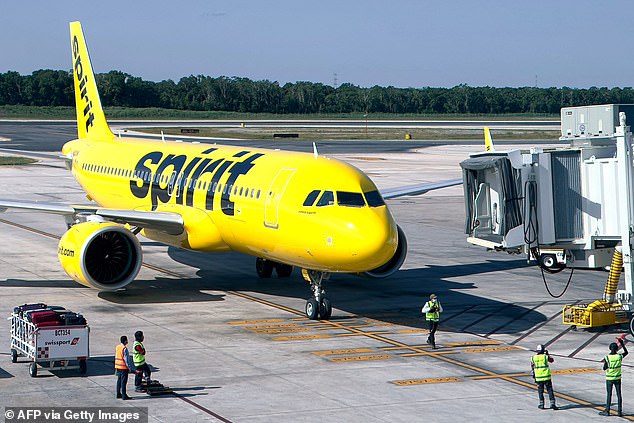 The little creature made a quick escape shortly after being spotted by a passenger sitting in the back of the plane