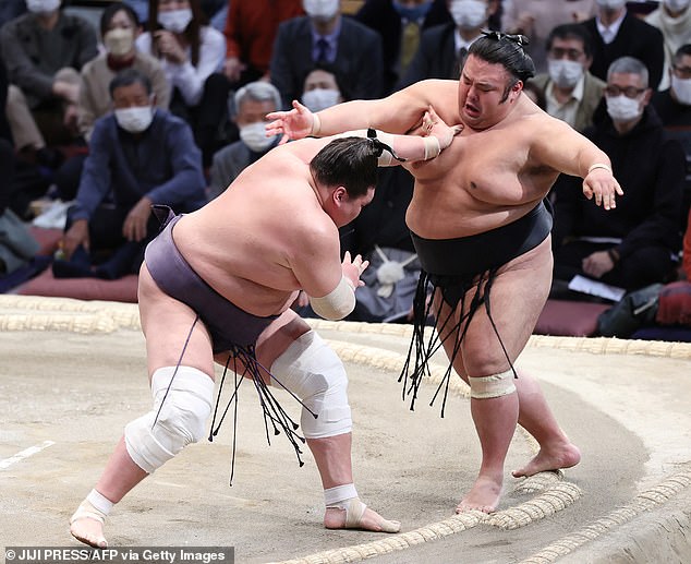 Terunofuji (left) and Takakeisho (right) are two sumo titans who recently retired from the sport permanently due to health issues in Takakeisho's case. The pair are pictured here fighting in 2021