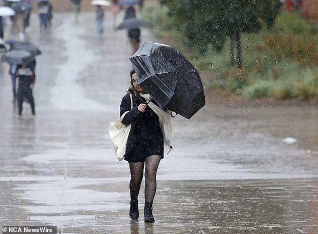 Sydney continues to be lashed by torrential rain and thunderstorms after Monday's wild weather caused flash flooding in the city