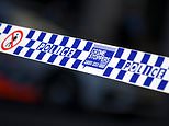 Terror as man armed with a machete attacks innocent residents on street in Leichhardt, Sydney