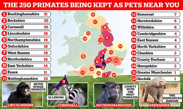 As documentary Chimp Crazy shocks audiences, this map reveals the location of the 250 'dangerous' primates living in Britain