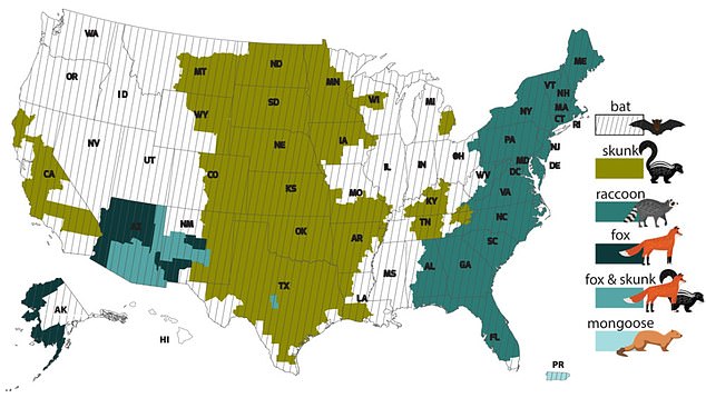 The map above shows which animals in certain areas are most likely to be infected with rabies