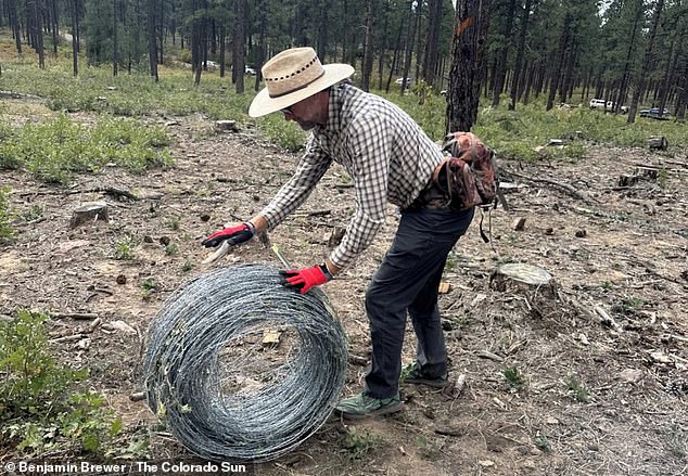 Ryan Borchers rolls up barbed wire that was part of a fence installed in northern San Juan National Forest in early October by a group calling itself the Free Land Holder Committee.