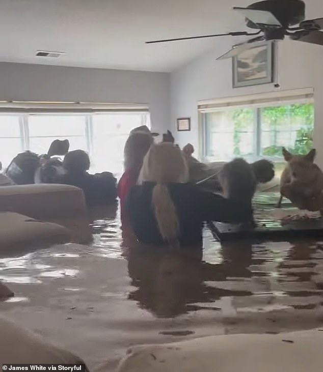 Footage was captured of the group of people inside what was left of a home in the city of Hendersonville