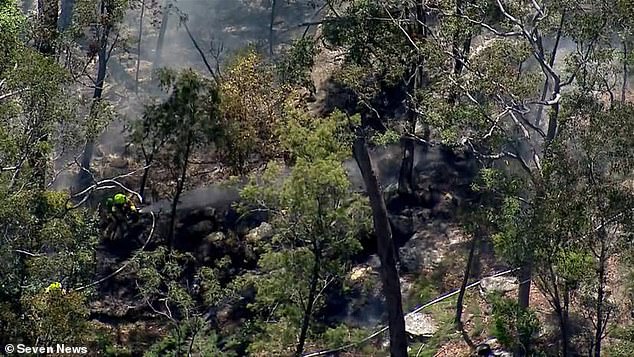 Emergency services were called to Belimbla Park in Oakdale just before noon on Saturday (a firefighter is pictured at the scene)