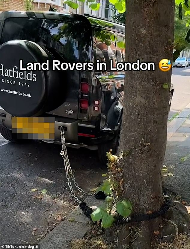 The car was chained to a nearby tree with a heavy chain and padlocks that resembled a chained bicycle