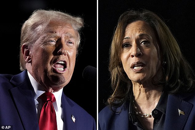 With polls calling the race between Republican Donald Trump and Democrat Kamala Harris too close, the question is whether either will get the necessary 270 Electoral College votes to win the Nov. 5 election outright.