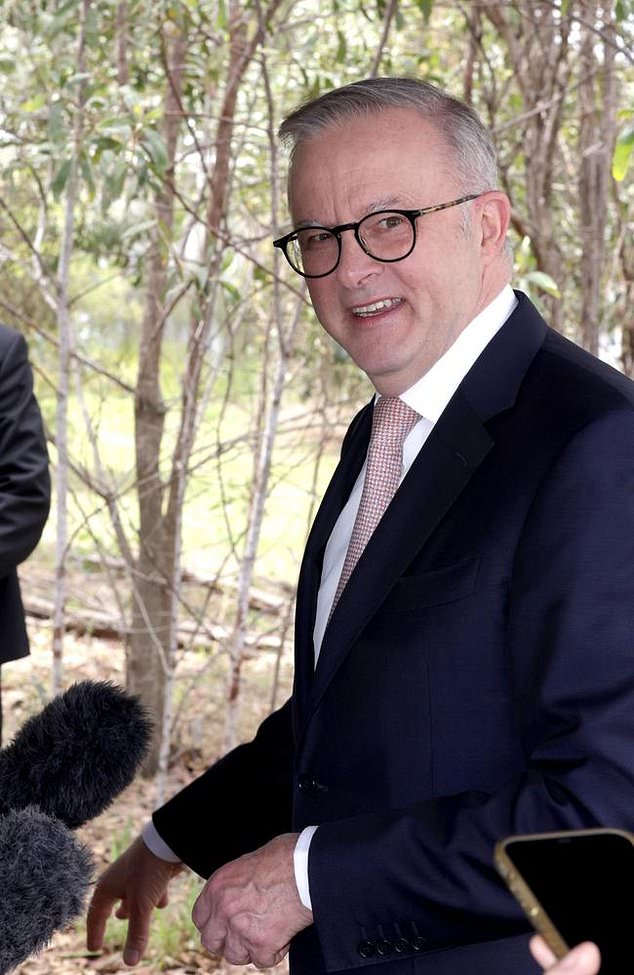 Mr Albanese came under fire for the purchase amid a cost-of-living crisis