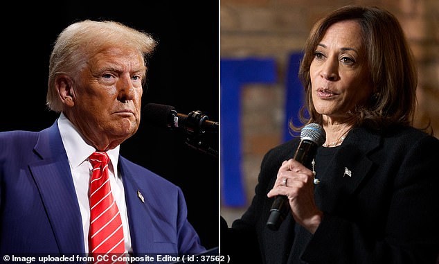 Where Donald Trump and Kamala Harris stand on 15 key