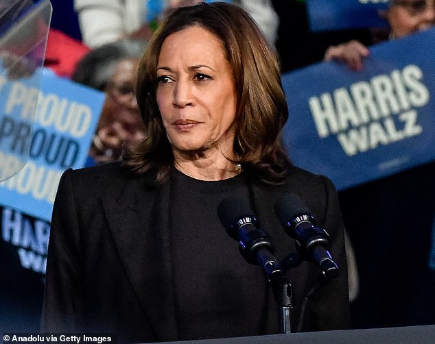 Kamala Harris' bid for the White House could be doomed by her actions in Beaver County, PA