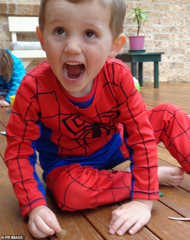 William Tyrrell (pictured on the day of his disappearance in 2014) disappeared from his foster grandmother's home 10 years ago