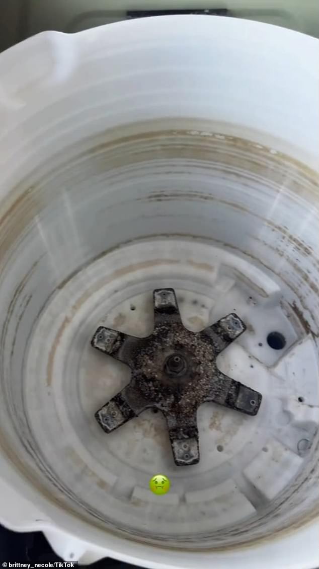 The Texas-based maker – who claims she has a 'nose for mold' – recently took to the platform to show off her latest mold find (seen from the inside of her washing machine)