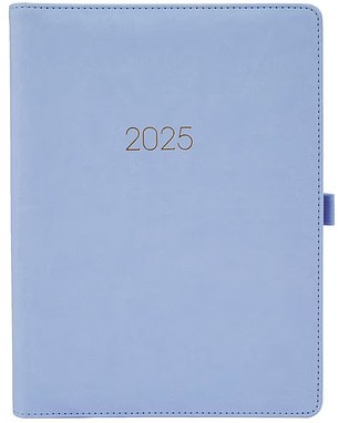 The $12 Weekly/Monthly Diary for 2025 comes in a trendy light blue shade