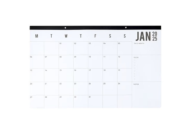 Other popular options include the $12 Jumbo Wall Calendar 2025 (photo)