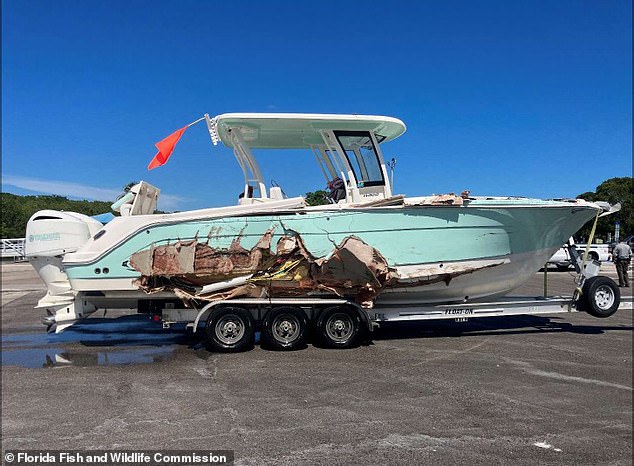 Pino piloted this 29-foot Robalo boat. The crash ripped open the right side of the ship