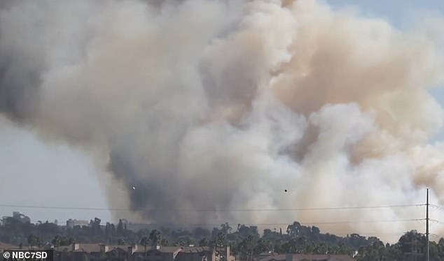 Early images of the fires showed the skies above San Diego filled with dark smoke as the wildfire continued to spread across the area