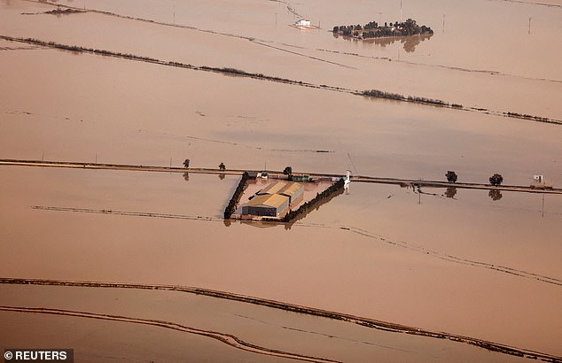 Aerial photo shows devastated rice fields of Albufera in an area hit by the heavy rains